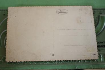 Preview: original Foto - Portrait SS-Rottenführer mit ASA und weiteren Auszeichnungen